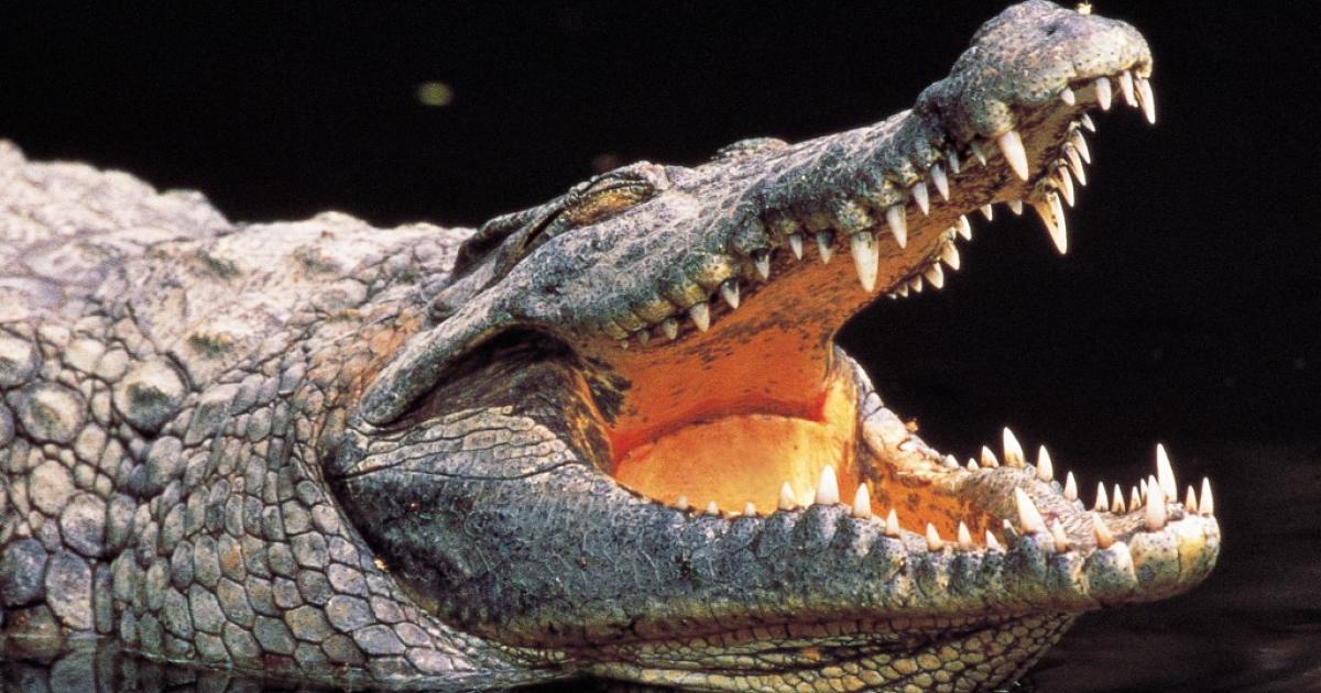 7d99a140d22d48669cc55e2fad13a2